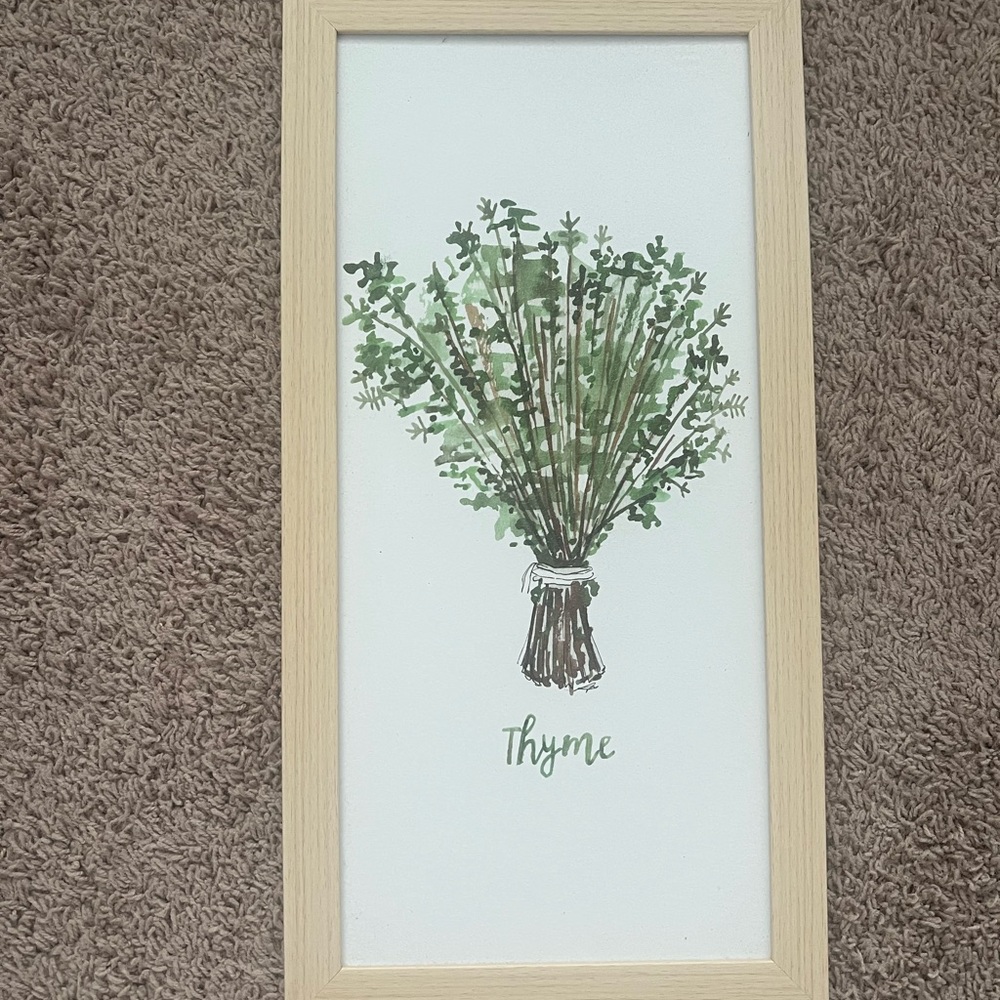Framed Thyme Herb Art Print